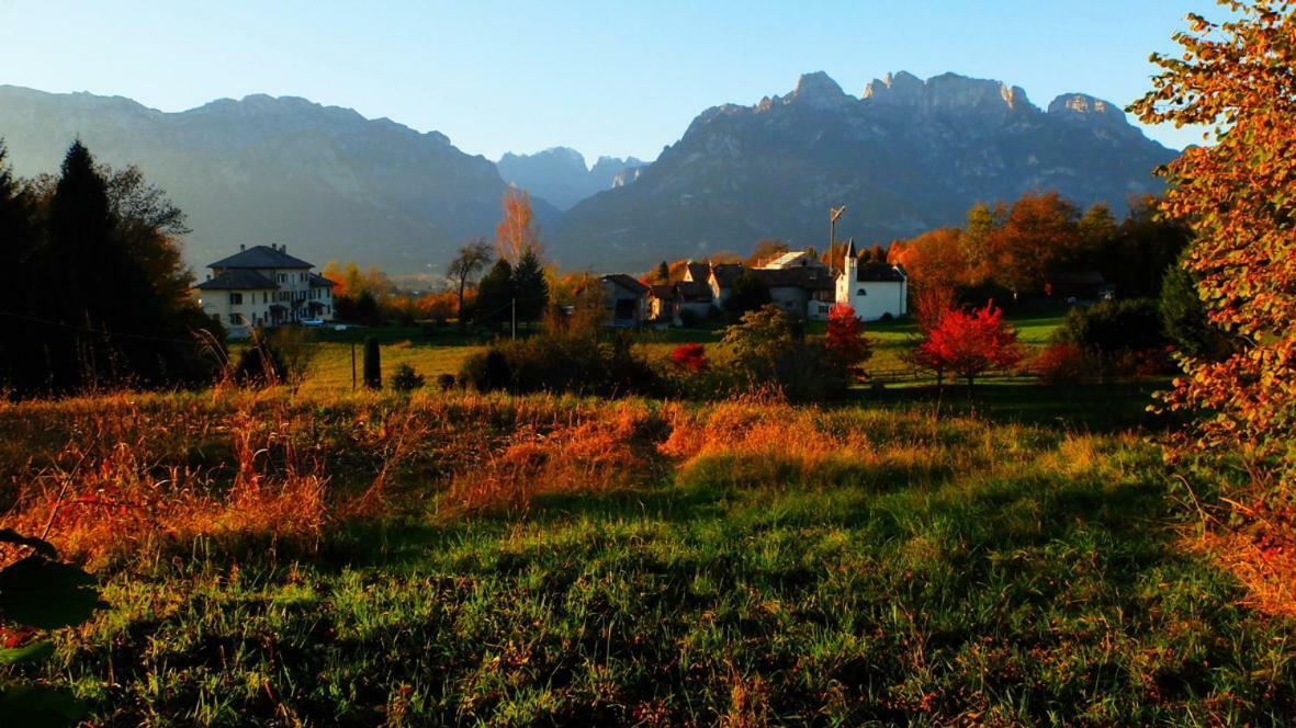 بيلونو B&B Col Del Vin المظهر الخارجي الصورة