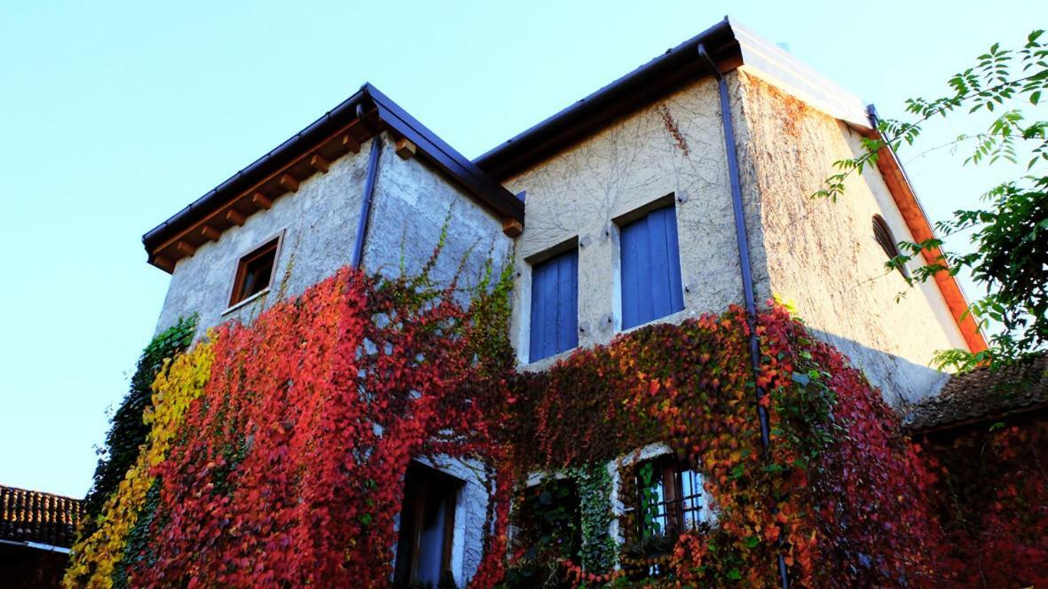 بيلونو B&B Col Del Vin المظهر الخارجي الصورة