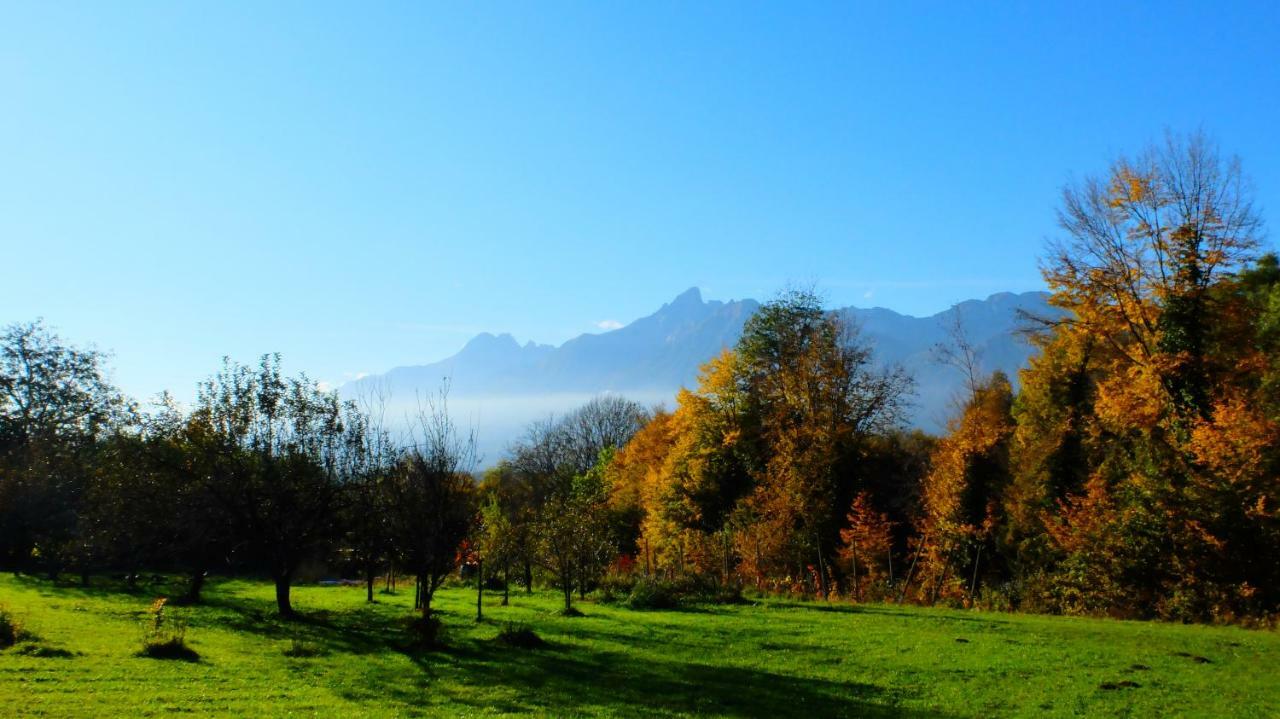 بيلونو B&B Col Del Vin المظهر الخارجي الصورة